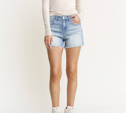Mica Denim High Rise Frayed Hem Shorts